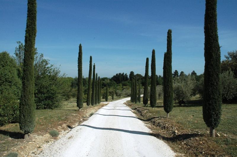 Maison d'architecte proche des Alpilles, sur 2,5 hectares au calme